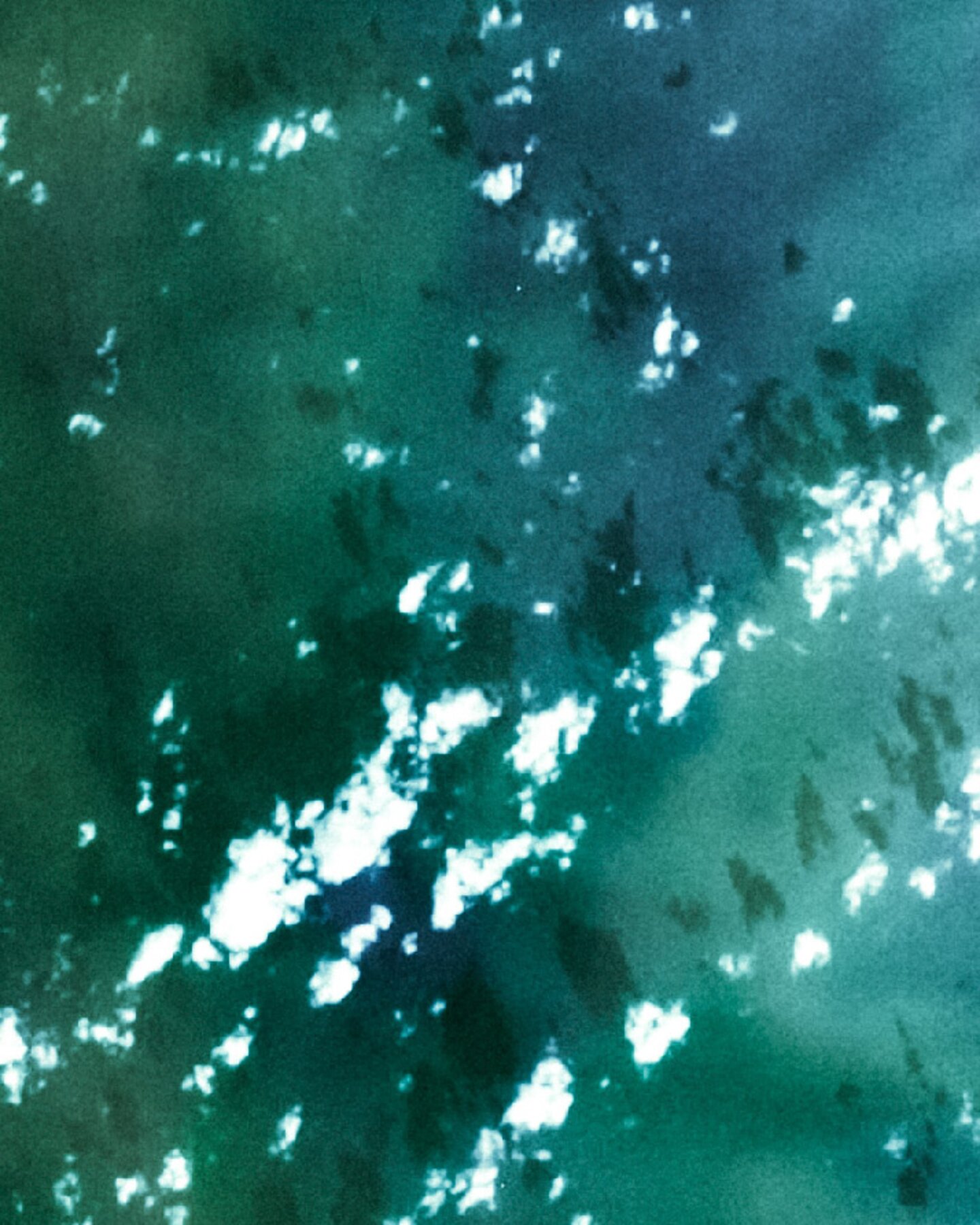 Allestimento personalizzato