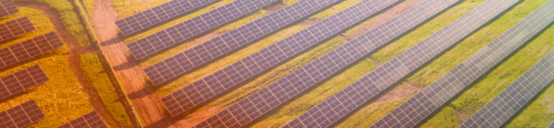 Solar photovoltaic capacity worldwide surpasses 2.2 TW in 2024