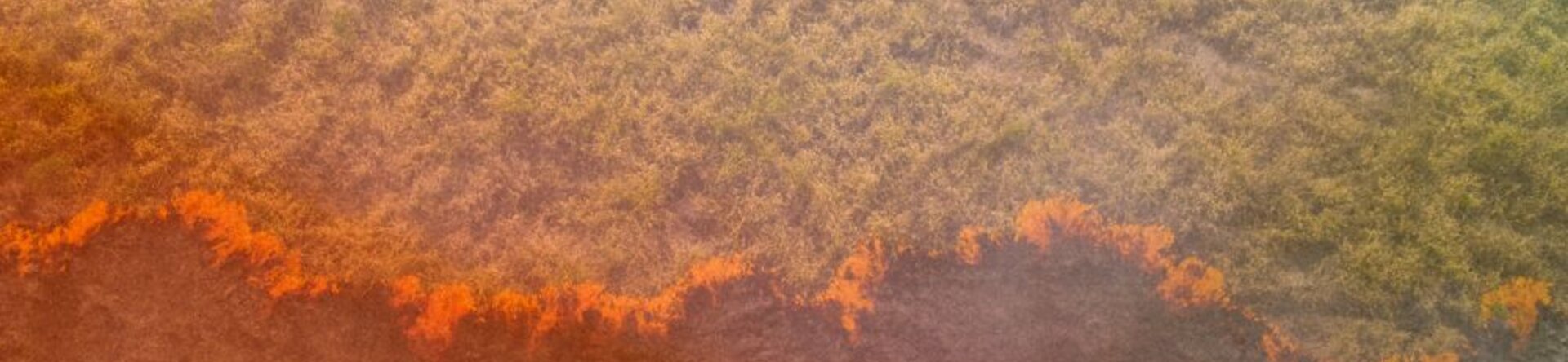Il contributo delle rinnovabili alla lotta climatica
